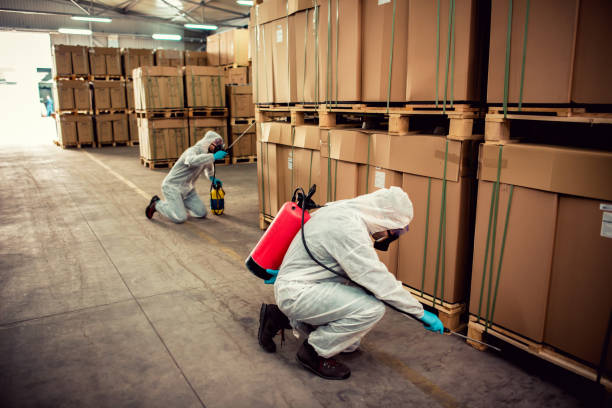 Best Best Pest Control Companies  in Dulce, NM