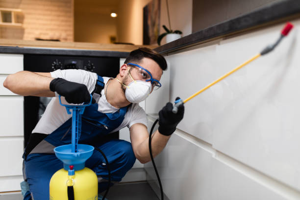 Best Emergency Pest Control  in Dulce, NM
