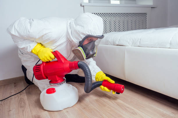 Best Pest Prevention Services  in Dulce, NM