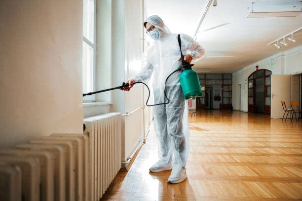 Best Mosquito Control Services  in Dulce, NM